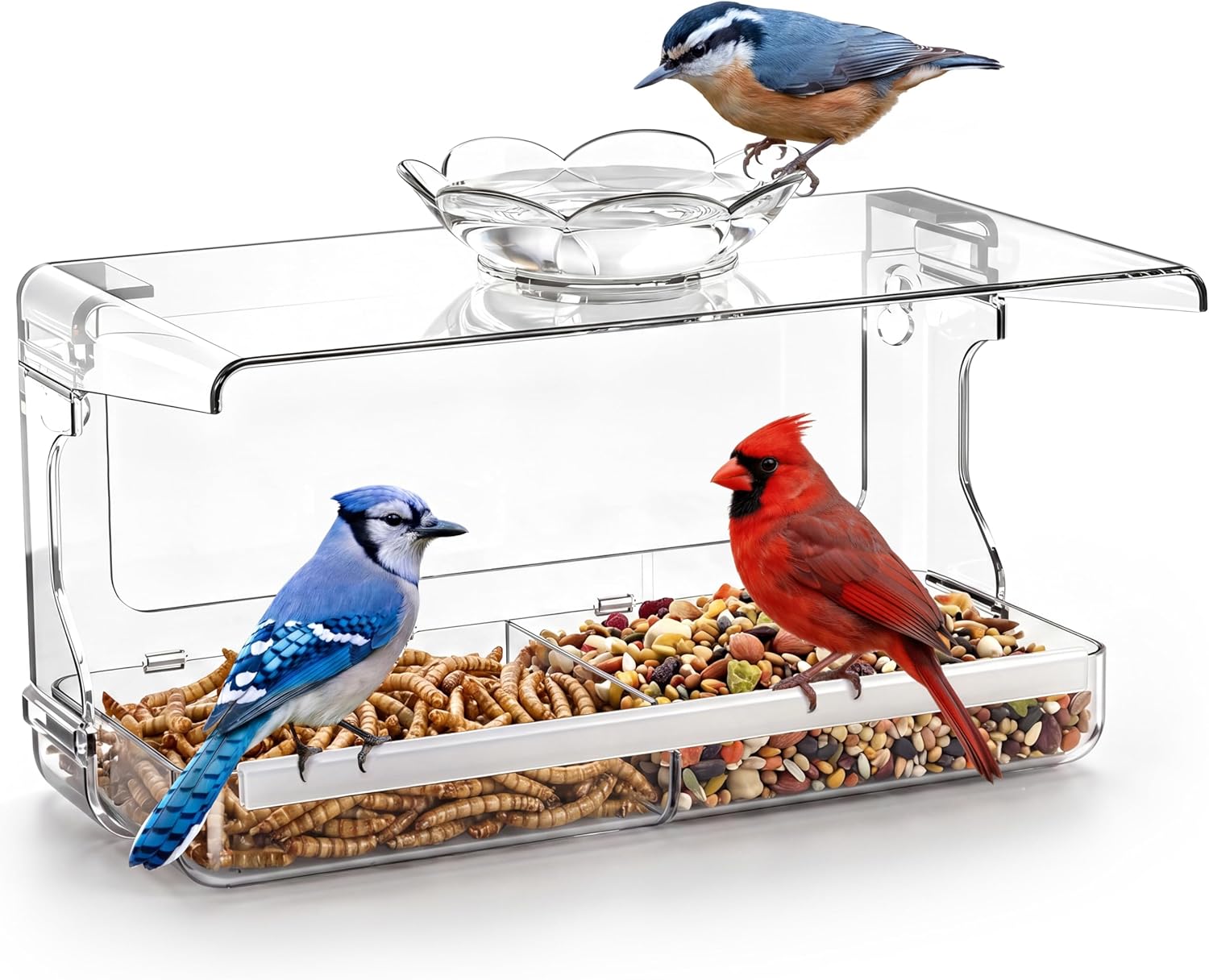 Clear Window Bird Feeder Clear Window Bird Feeder