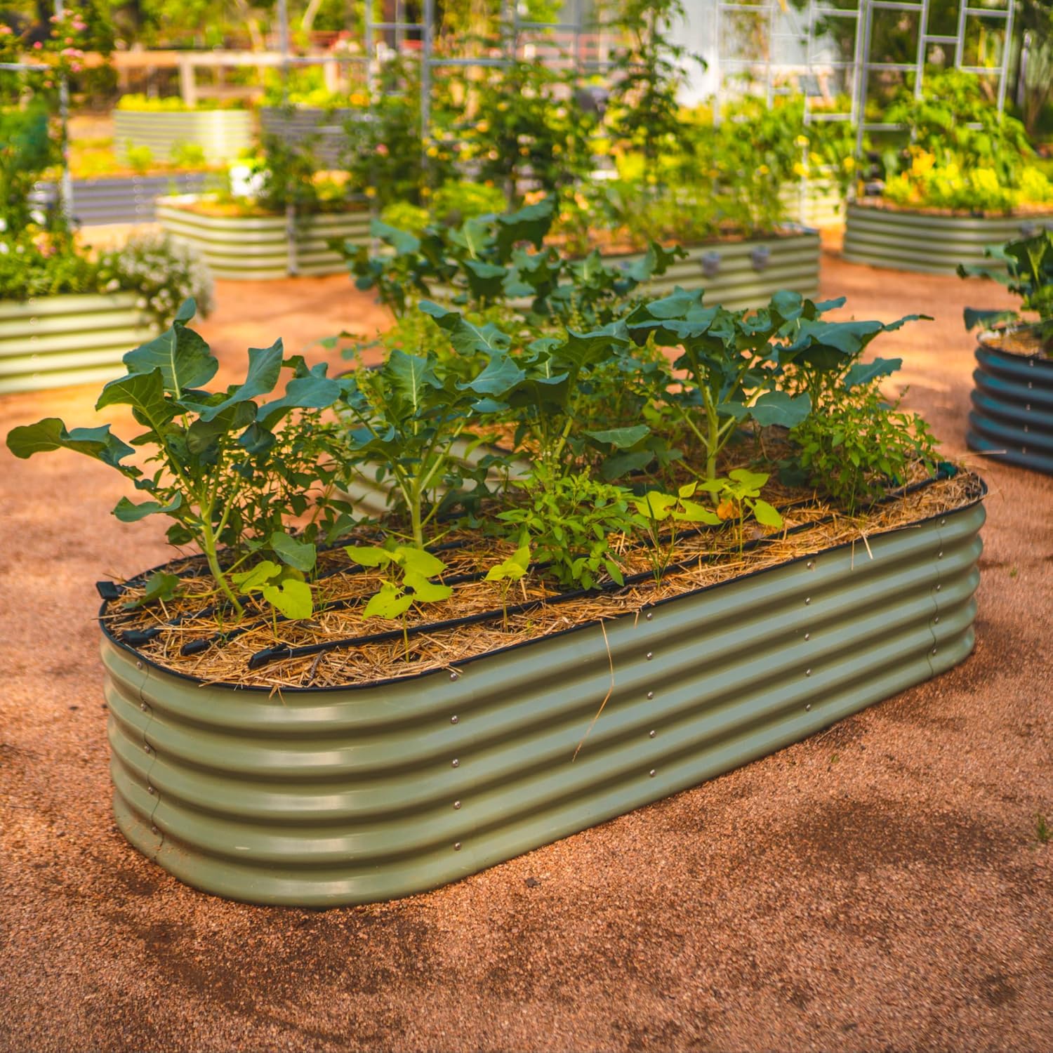 Olive Green Metal Raised Planter