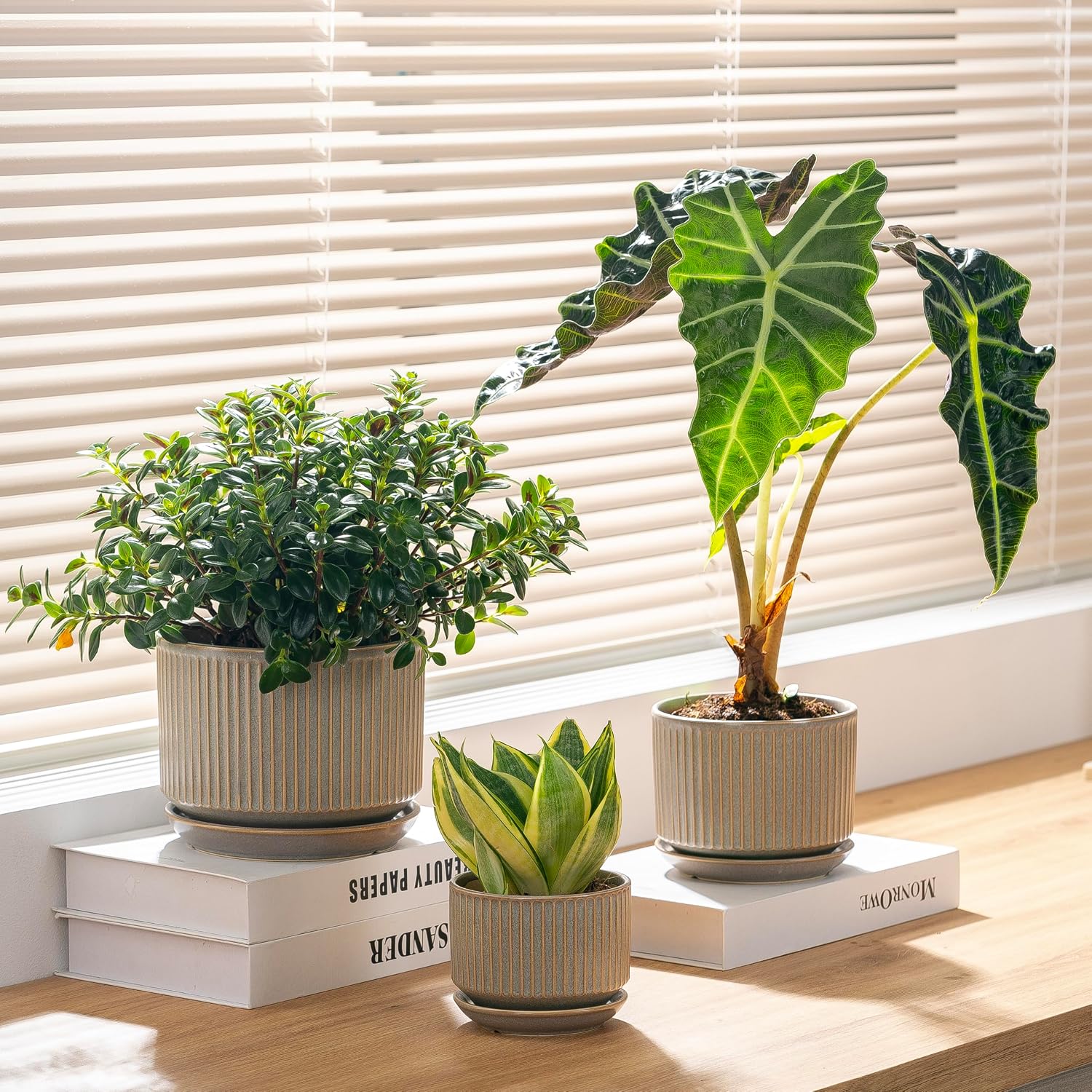 Three-Piece Ceramic Planter Set
