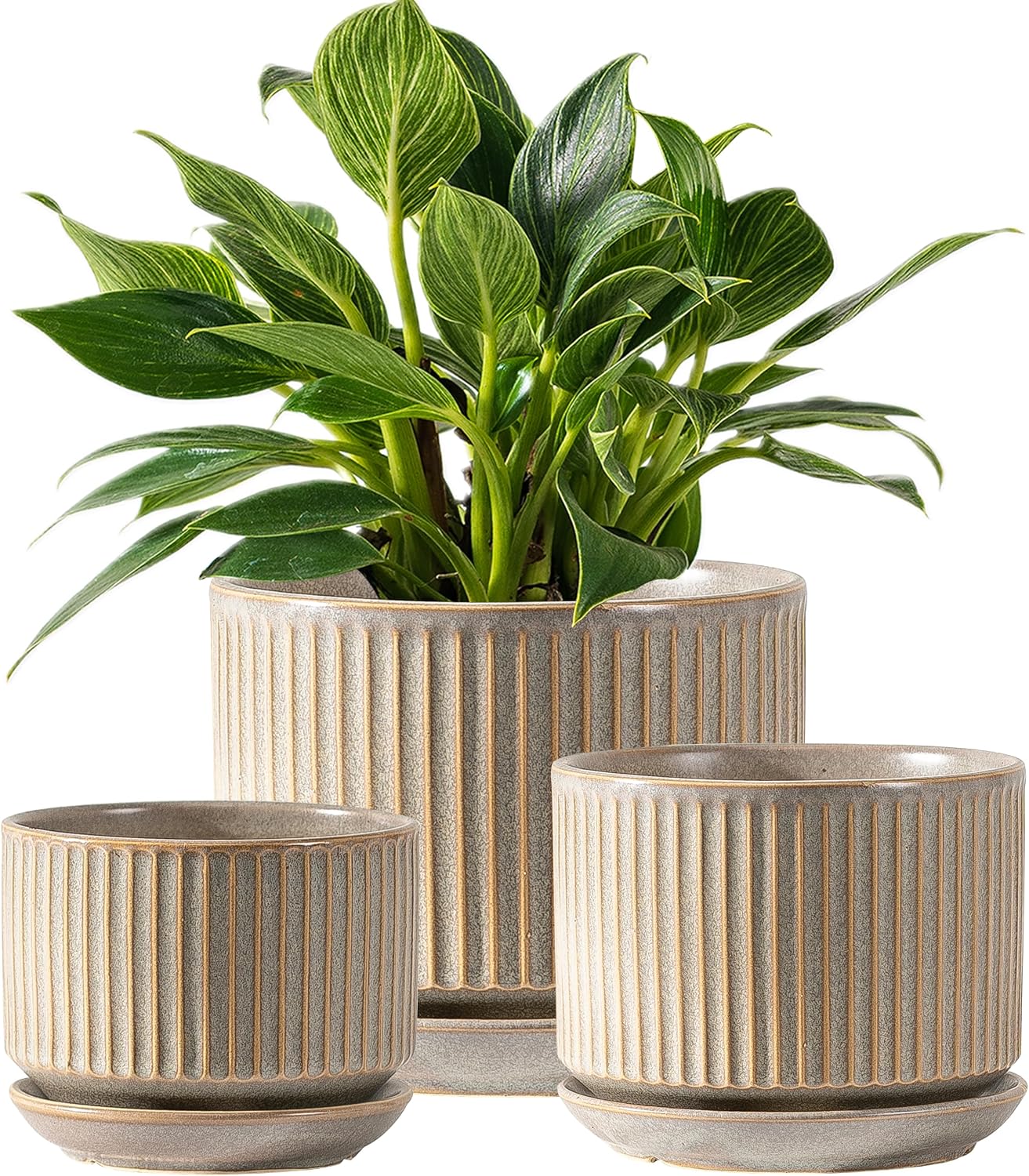 Three-Piece Ceramic Planter Set