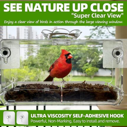 Clear Window Bird Feeder