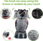 Two-Pack Bobblehead Owl Decoys